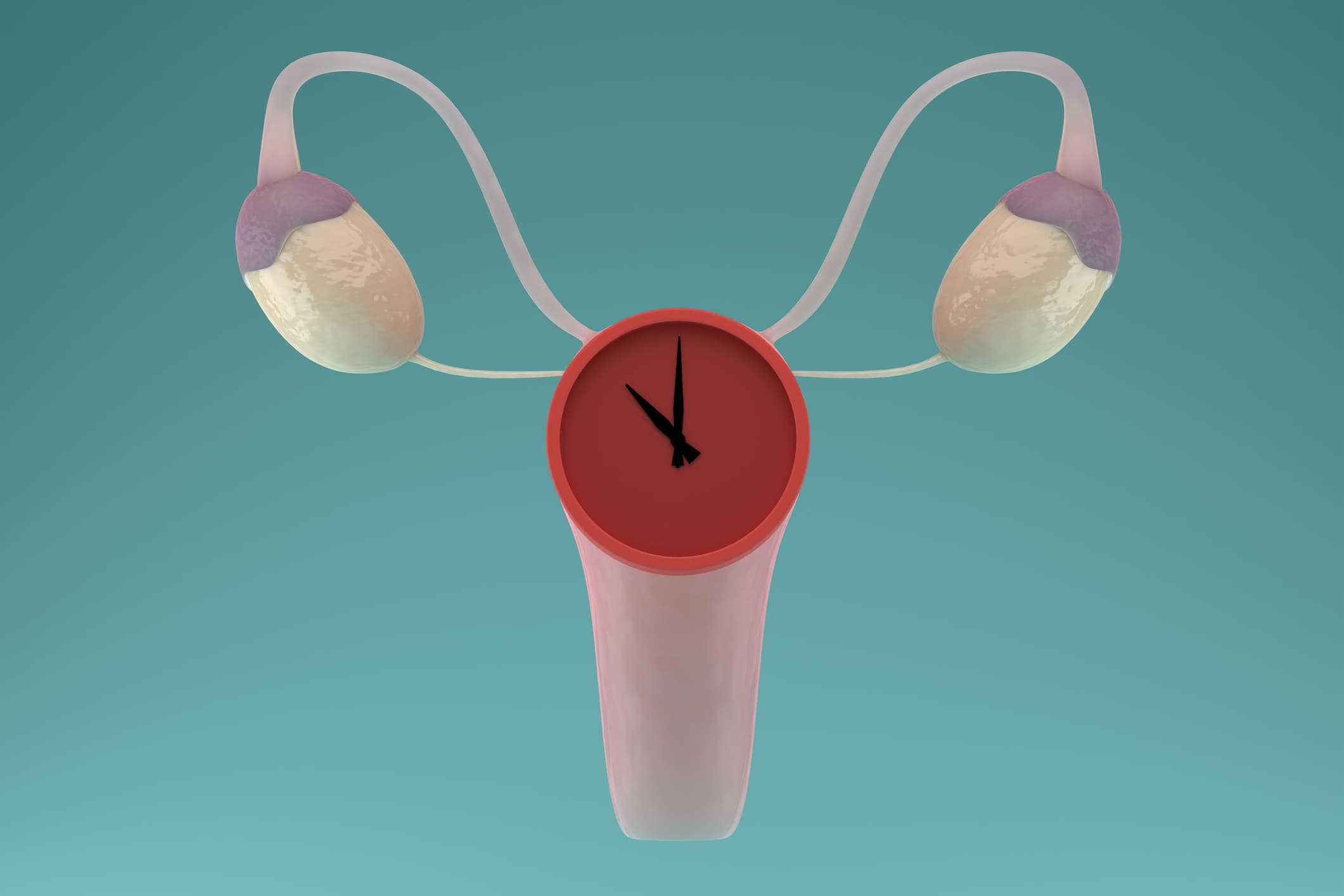 Menopausa Desmistificada